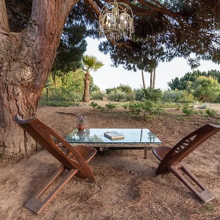 Meia Lua - Your Private Artsy Paradise Overlooking The Ria Formosa With Pool And Sea Views Near Barril Beach, Tavira Luz de Tavira